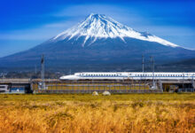 Bullet Train