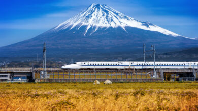 Bullet Train